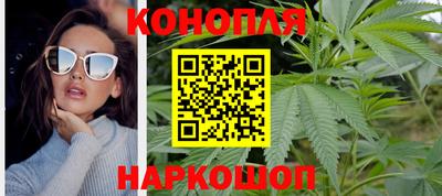 скорость Бердск