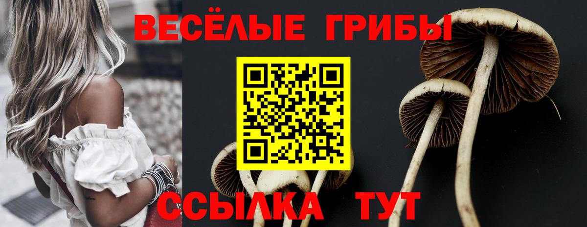 Аша  Псилоцибиновые грибы GOLDEN TEACHER  Вход с VPN 
